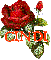 Beautiful Red Rose - Cindi