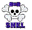 shel skull