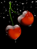 dripping cherries