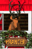 reindeer prancer