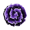Purple Rose Glitter
