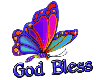 god bless butterfly