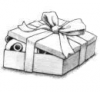 Panda in a Gift Box