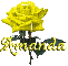 yellow rose amanda