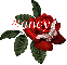 Butterfly Red Rose - Nancy