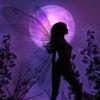 Purple Fairy