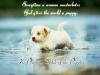 Please Think of Puppy ^  ^