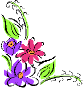 flower in the summer