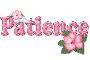 Pink Hibiscus: Patience
