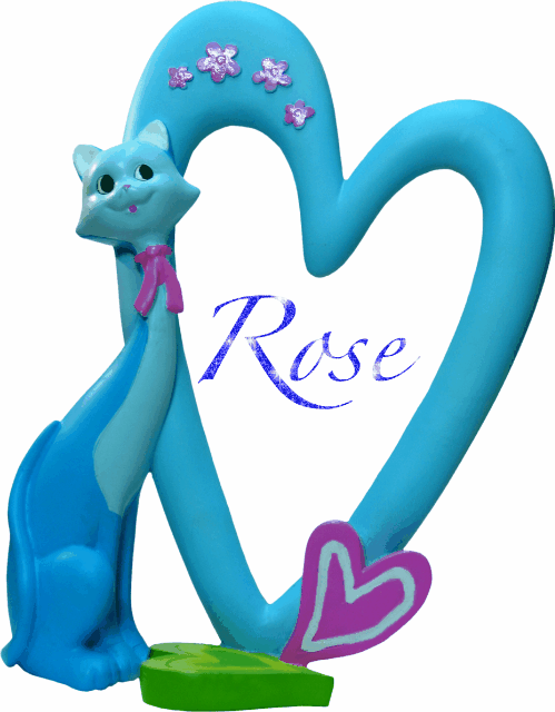 Blue kitty frame - Rose