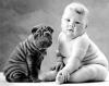 Wrinkly baby and puppy