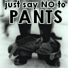 Just say no to pants