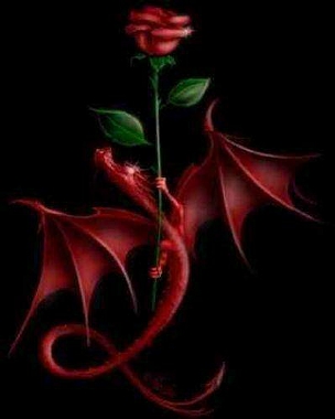 DRAGON Y ROSA