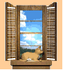 gato na janela