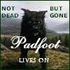 padfoot lives on