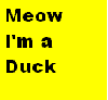 Meow Im a Duck