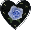 blue rose in black heart