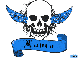 laura blue skull