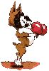 boxer dog boxing