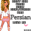 Persian Like Me 2