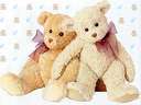 teddy bears are cute 