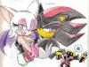 Dark Couple: Rouge and Shadow