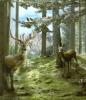 deers in the forest