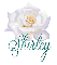 WHITE ROSE WITH SHIRLEY NAME