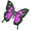 Sparkly Butterfly