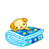 bear