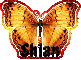 Butterfly Shian