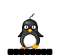 waddle penguin