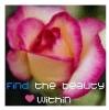 FIND THE BEAUTY WITHIN