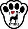 i love my pit bull
