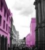 city pink quito