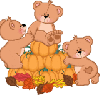 pumpkins & bears