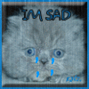 I`m Sad Kitty