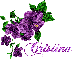 Cristina-Purple Flowers