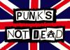 punks not dead 