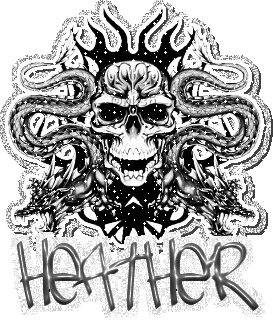 heather glitter skull