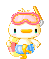 Swim Chick