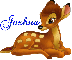 Joshua-Bambi