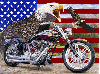 flag with bird and bike