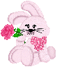pink bunny with pink rose