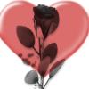 black rose and heart