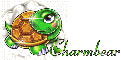 Turtle with Glitter and Name 