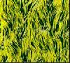 Yellow-green vertical threads