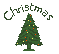 mini Christmas tree