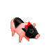 Kawaii Pig By Kiss