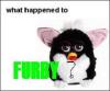 what happened to furby?